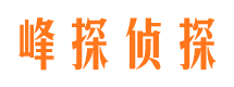 梁山侦探公司